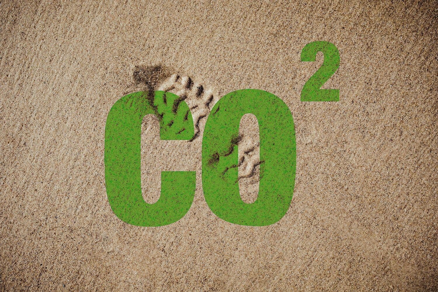 The Carbon Footprint of the Printed Product